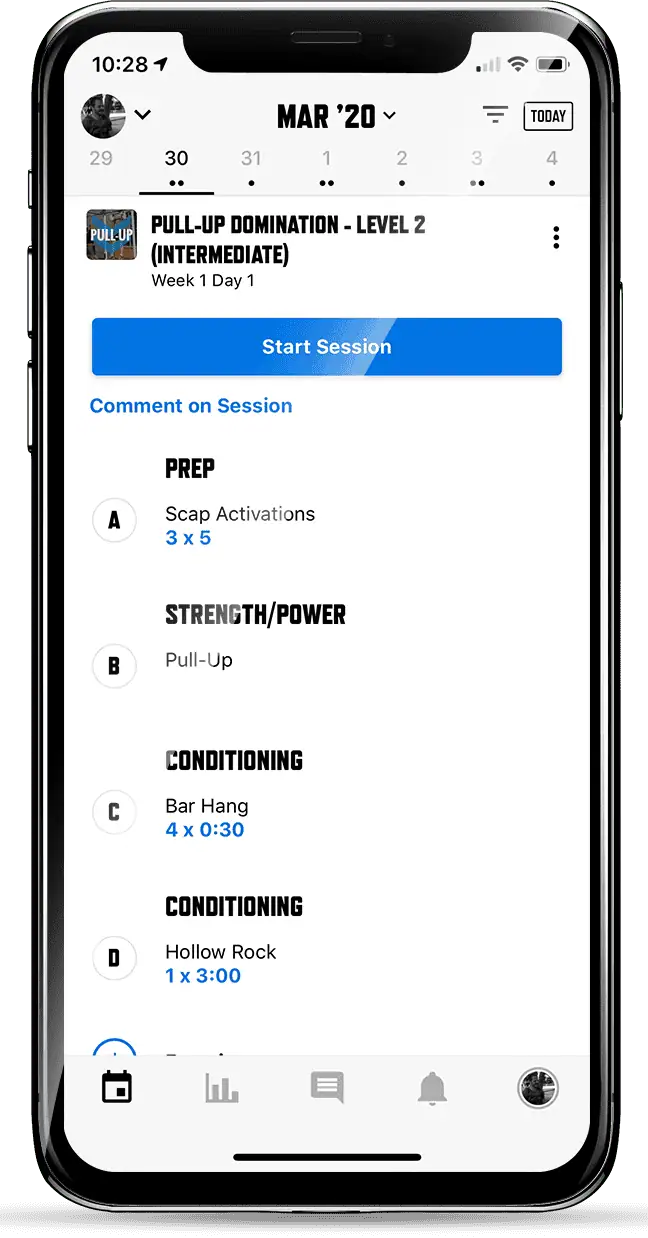 Pull-Up Domination Program Mockup