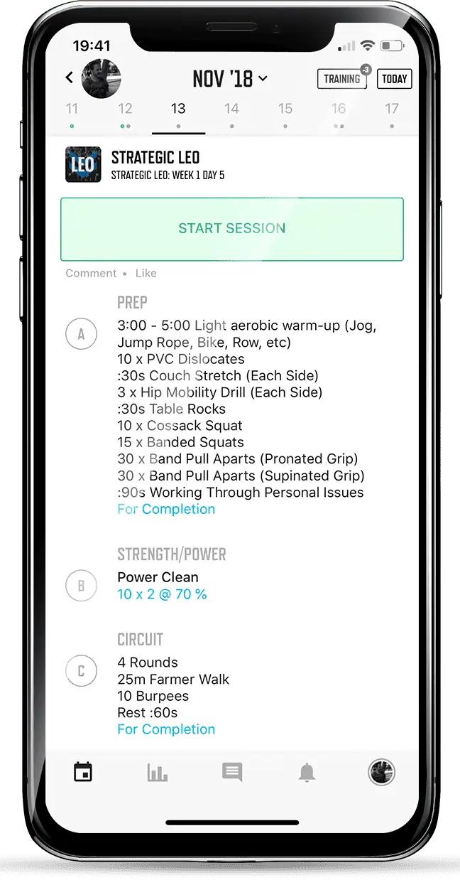 Strategic LEO Program Mockup
